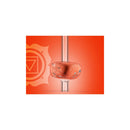 Paille Crystal Straw Jaspe Rouge